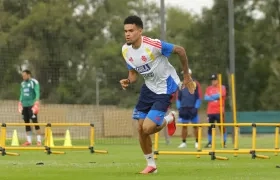 El guajiro Luis Díaz fue gran figura de Colombia contra Uzbekistán. 