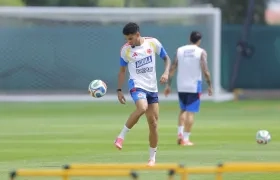 Luis Díaz, extremo de la Selección Colombia. 