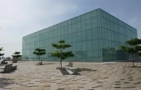 Las obras del artista Van Gogh llegan a Barranquilla con una exhibición interactiva