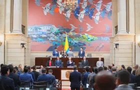 Cámara de Representantes.