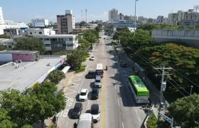 La siembra se realizó en la calle 72  entre las carreras 38 y 60.