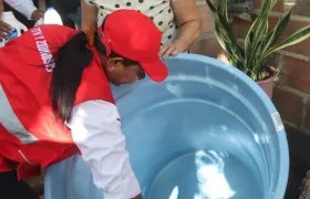La eliminación de criaderos de mosquito permite reducir riesgos de contraer el dengue. 