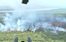 Uno de los tanto incendios ocurridos en el Parque Isla Salamanca. 