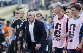 Luis de la Fuente, técnico de la selección española.
