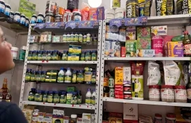 Medicamentos Adulterados en Soledad
