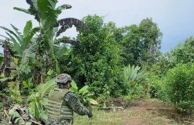 Operativo del Ejército Nacional.