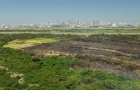 Parque Isla Salamanca.