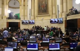 Plenaria del Senado de la República