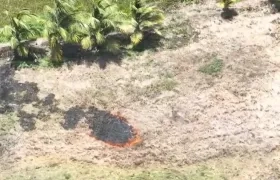 Nuevas quemas en el Parque Isla Salamanca. 