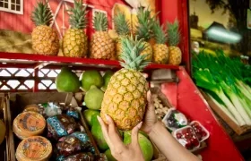 Sabor Barranquilla. 