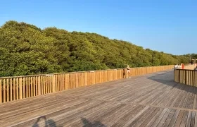 Ecoparque Ciénaga de Mallorquín. 