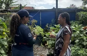 El abono será usado para que las plantas crezcan sanas. 
