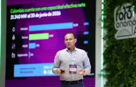Alejandro Castañeda, presidente Ejecutivo de Andeg.