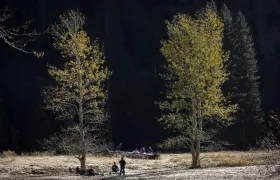La norma no prevé aplicarse a los bosques nacionales de Colorado e Idaho.