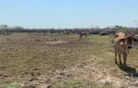 La agricultura, pesca, energía, logística son algunos de los sectores que más afectaciones tendrán, según la organización.