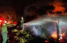 Incendios forestales en el departamento del Tolima. 