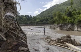 La devastadora tragedia.