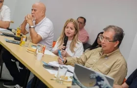 La Ministra de Transporte, Elsa Noguera.