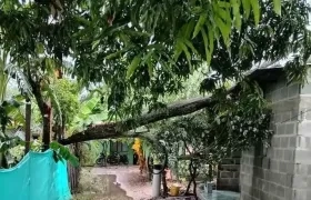 Vendaval en Juan de Acosta