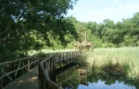 Vía Parque Isla Salamanca.