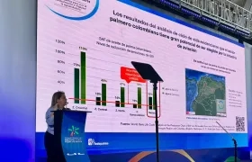 Mónica Cuéllar, gerente de Tecnopalma.