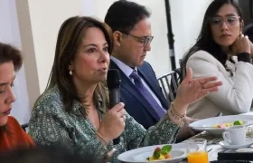Ana María Vesga, ministra de Salud, reunida con la bancada del Centro Democrático.