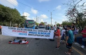 Imagen del plantón.