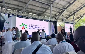 Conferencia Nacional sobre la Palma de Aceite.