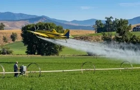Fumigación aérea.