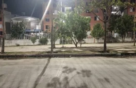 Las Gardenias