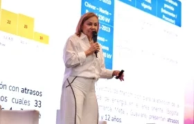 María Nohemí Arboleda, ministra de Minas y Energía.
