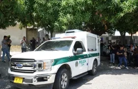 Los cuerpos en Medicina Legal. 