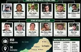 Organigrama de las ACSN