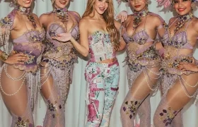 Shakira en su llegada a Madrid. 