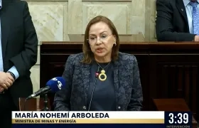 María Nohemí Arboleda, ministra de Minas y Energía.