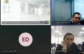 Yolima Johana Murgas Guzmán, durante la audiencia de legalización de captura.