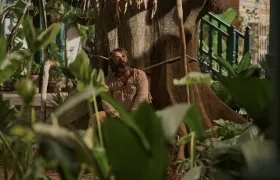 Imagen de la serie.