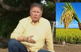 El Ministro de Agricultura, Indalecio Dangond, y un cultivo de arroz.