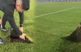 Así se encontraba la cancha.