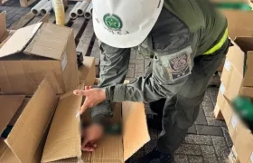 Momentos de la incautación de la cocaína.
