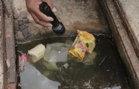 Agua estancada, foco de proliferación de mosquitos. 