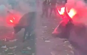Toro con fuegos artificiales en los cuernos.