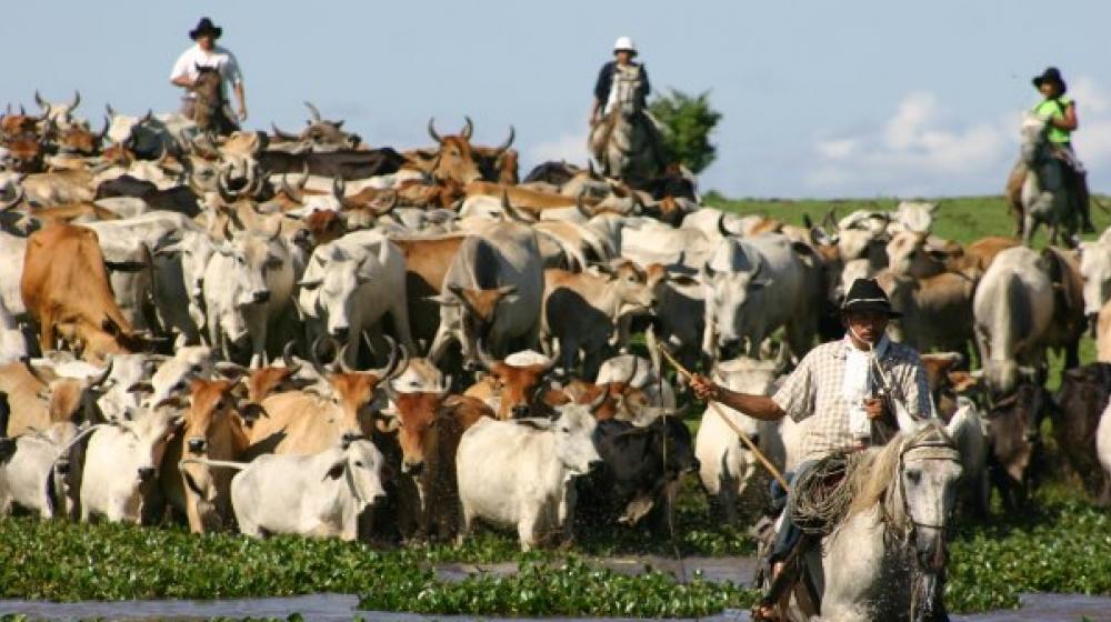 La Unesco reconoció el valor de los cantos colombianos y venezolanos.
