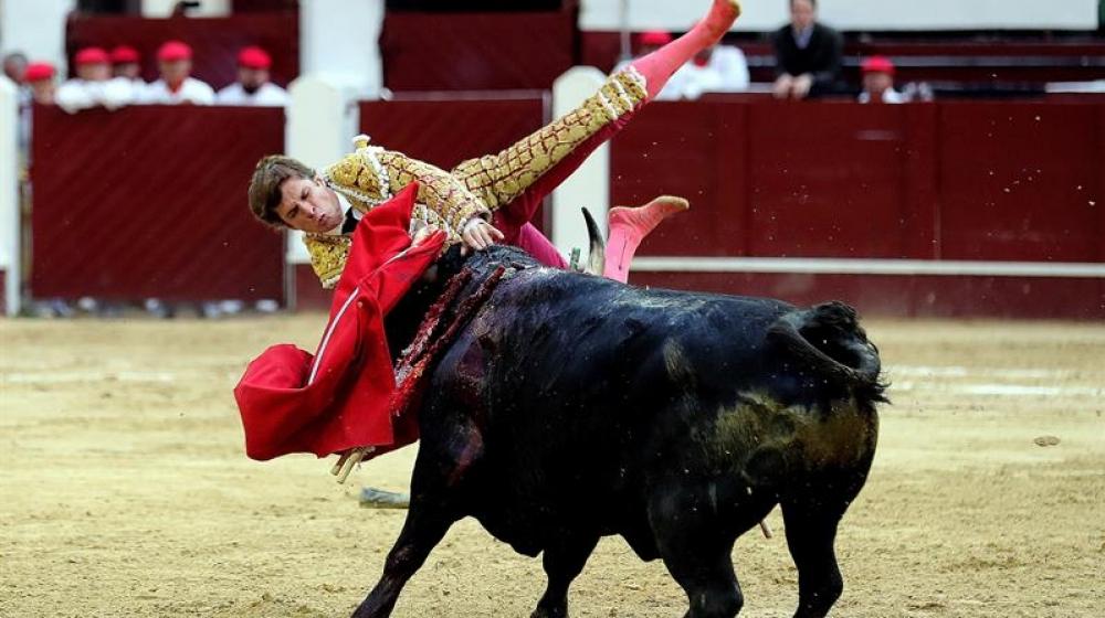 "El Juli", es embestido por el toro "Lancero en la Plaza de Toros Santamaría.