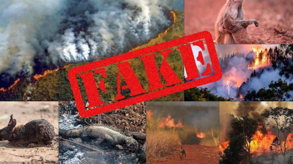 Ninguna de estas fotos corresponde a la Amazonía en llamas.