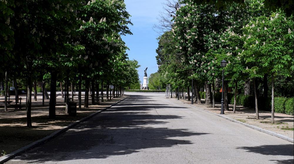 Vista del parque del Retiro de Madrid. 