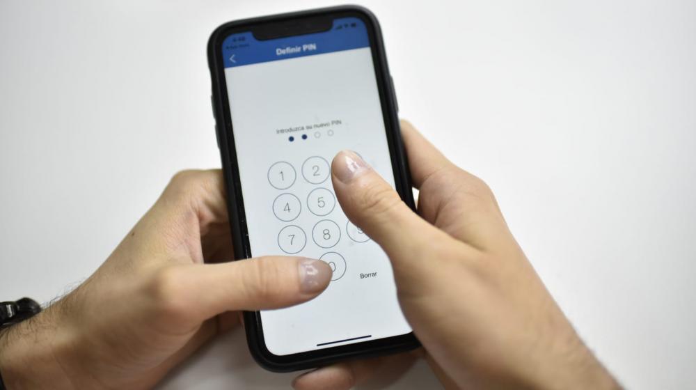 Imagen de referencia.