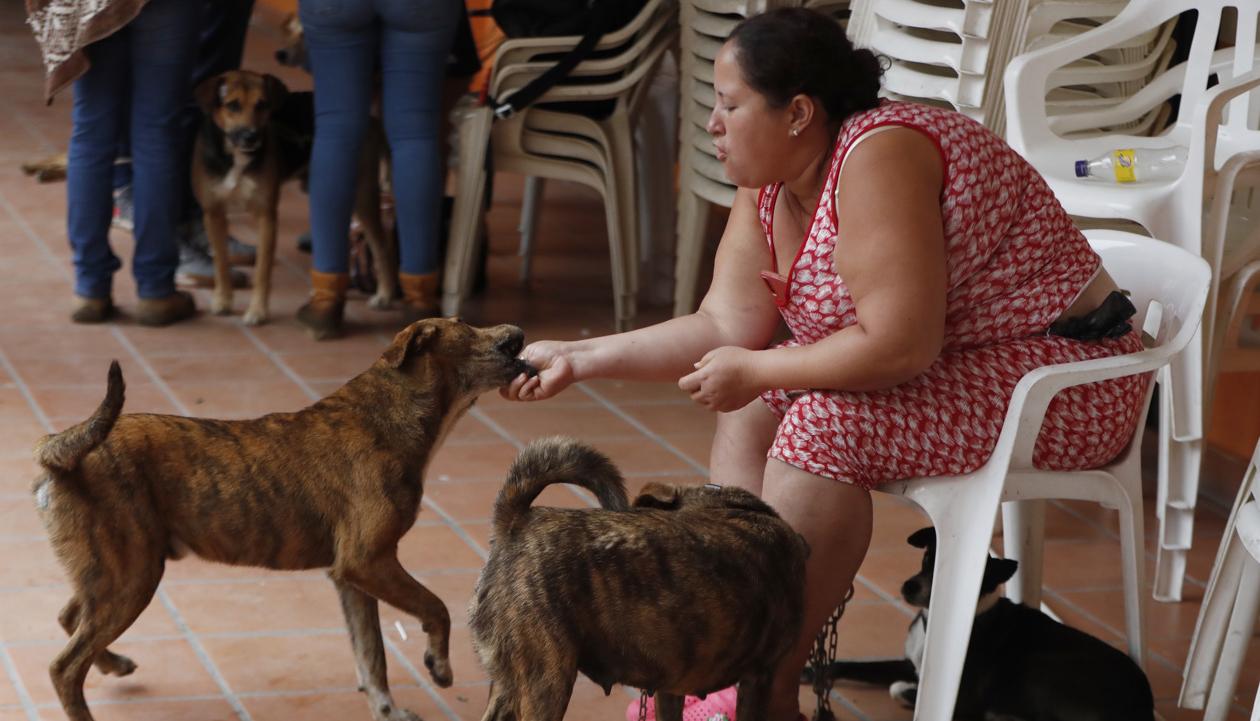 Ana Cristina Martínez juega con sus perros.