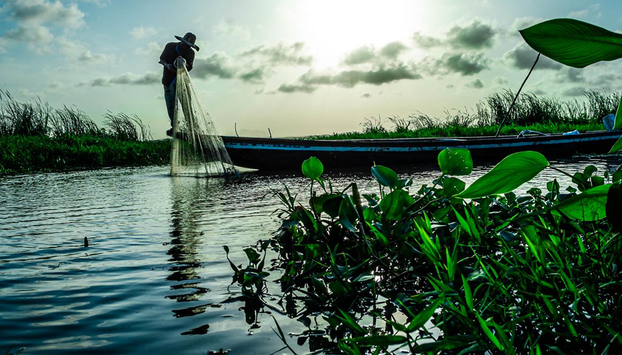 Primer puesto categoría 'Profesional': 'El sol y el pescador'.