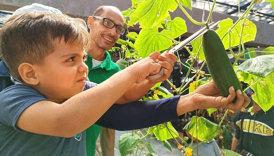 Un niño recogiendo cosecha en un huerto casero.